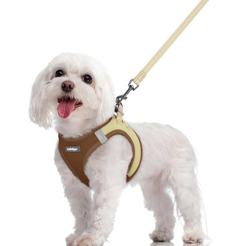 rabbitgoo Harnais pour chien Petit – Enfilage facile, Mesh respirant, Laisse incluse