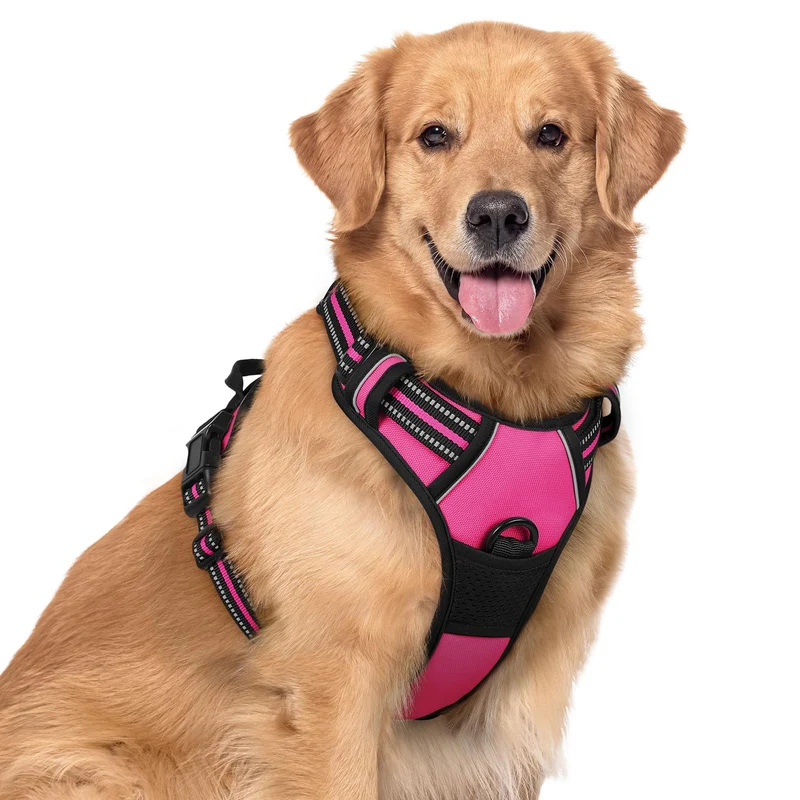Rabbitgoo Harnais Chien Sans Traction XL - Rose Fluo, 2 Attaches et Poignée de Contrôle