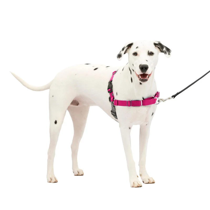 PetSafe Easy Walk Harnais anti-tirage pour chien – Taille M/L – Framboise/Gris