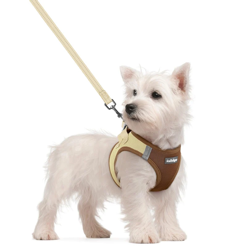 Rabbitgoo harnais chien taille S avec laisse – enfilage facile, maillage respirant et bandes réfléchissantes (marron/beige)