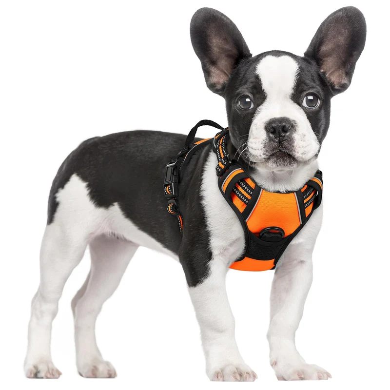 Rabbitgoo Harnais chien sans traction – 2 attaches, rembourré, ajustable, réfléchissant, poignée de contrôle – Orange S