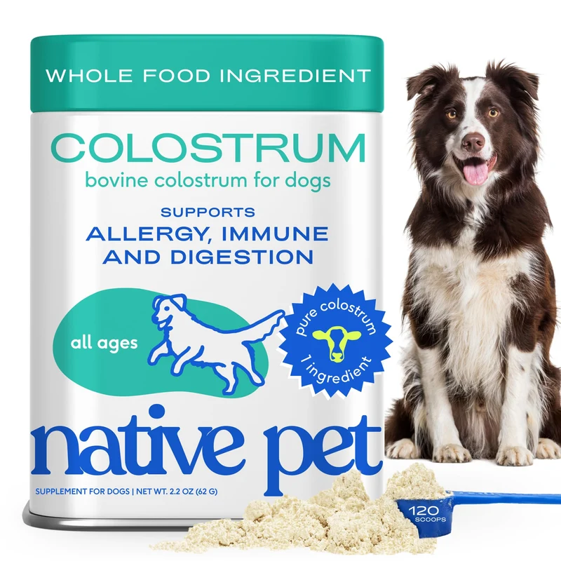 Native Pet Colostrum pour Chiens – Poudre Bovine, Immunité & Santé Digestive – 120 Dosettes
