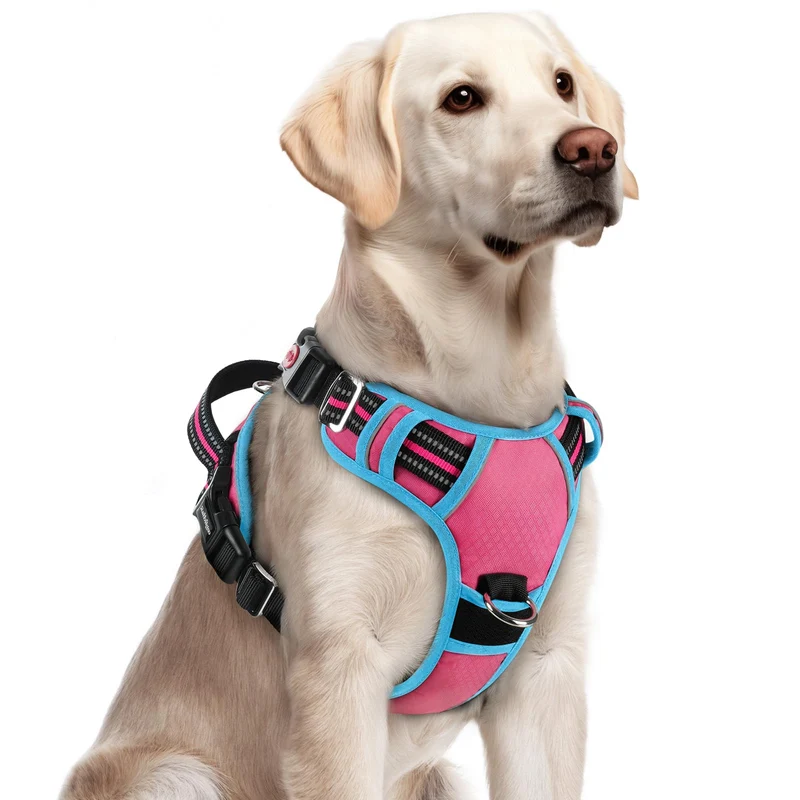 rabbitgoo Harnais Chien Grand – Sans Traction, 3 Boucles, Poignée Haute, Doux et Réfléchissant – Rose et Bleu – Taille L