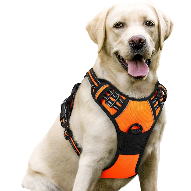 Rabbitgoo Harnais Chien Sans Tirage – Double Attaches et Confort Orange