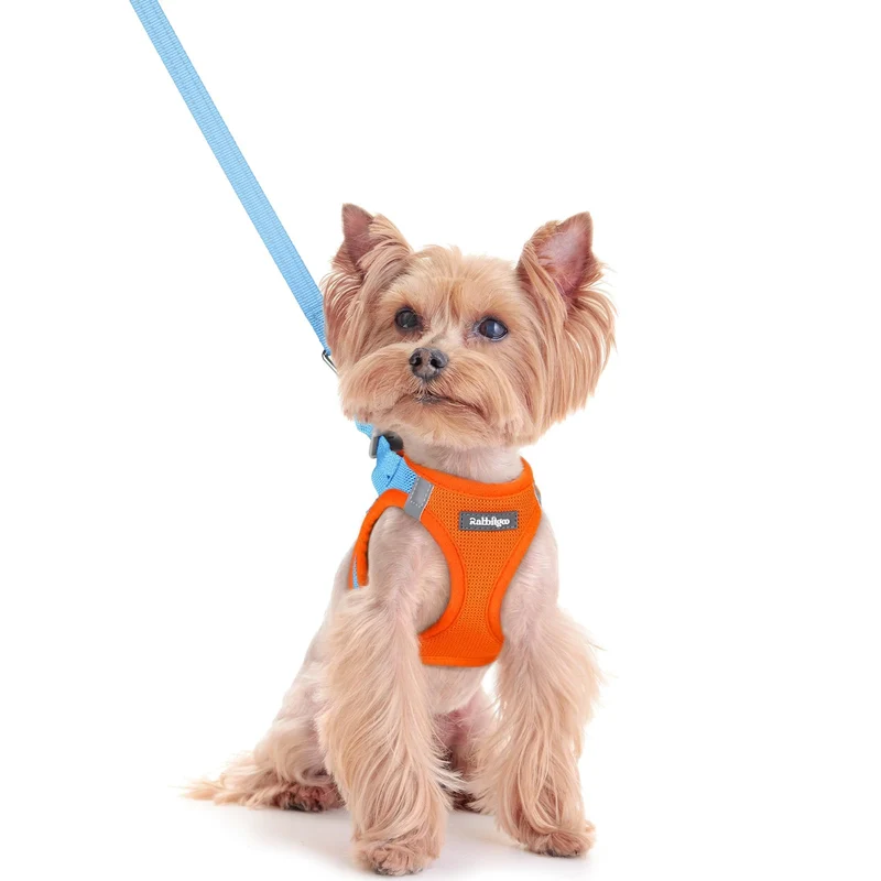 Rabbitgoo Harnais Step-in pour Petit Chien XXS – Mesh Respirant, Réflectif et Longe Incluse (Bleu et Orange)