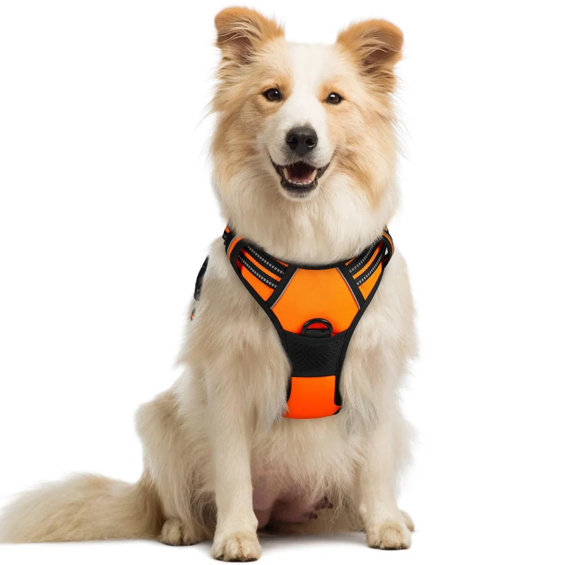 rabbitgoo Harnais Anti-Tirage pour Chien Moyen – 2 Attaches, Rembourré Doux, Réfléissant, Poignée de Contrôle, Orange, Taille M