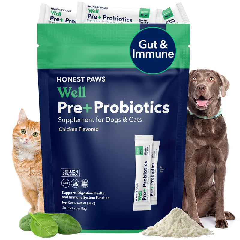 Honest Paws Probiotiques pour Chiens – Soutien Digestif et Immunitaire, Saveur Poulet, 30 Sachets, Fabriqué aux États‑Unis