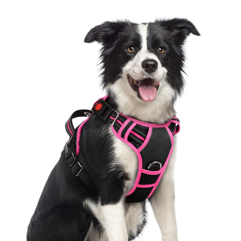 rabbitgoo Harnais Chien Sans Traction M – 3 Boucles, Poignée & Bandes Réfléchissantes – Noir & Rose
