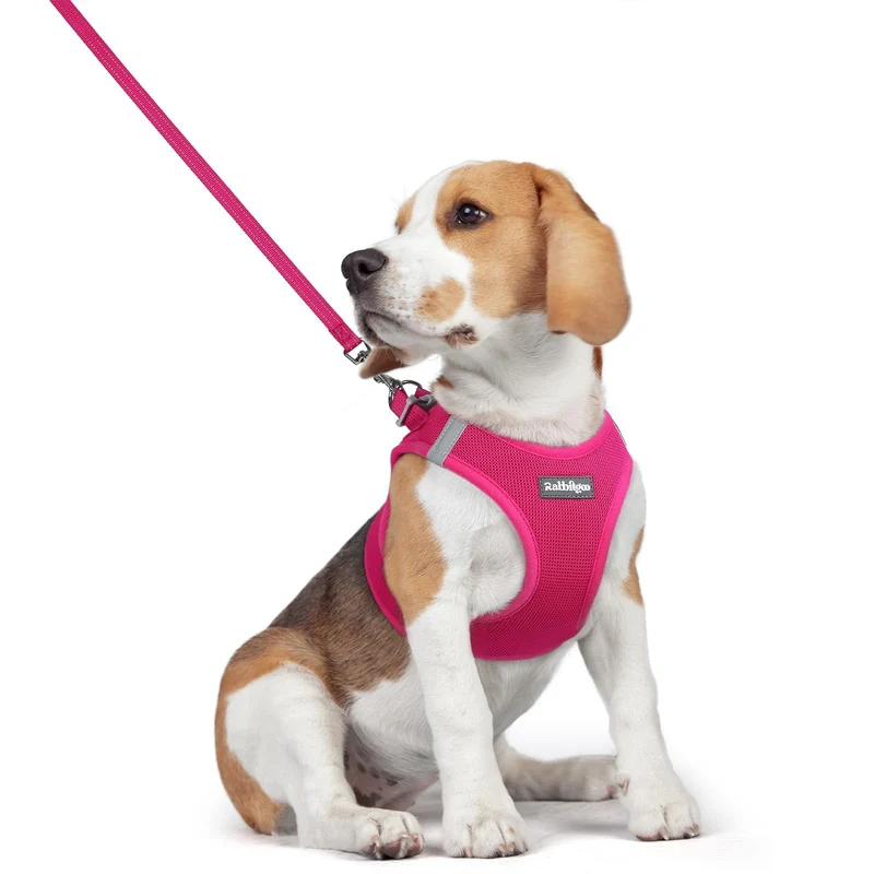 Rabbitgoo Harnais Chien Enfiler S-M Rose + Laisse Réfléchissante – Maille Respirante