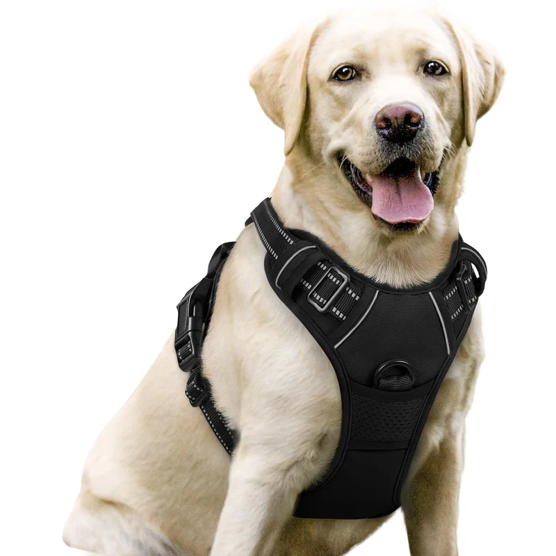 Rabbitgoo Harnais Chien Sans Traction – 2 Attaches, Rembourré et Réfléchissant, Noir, Taille L