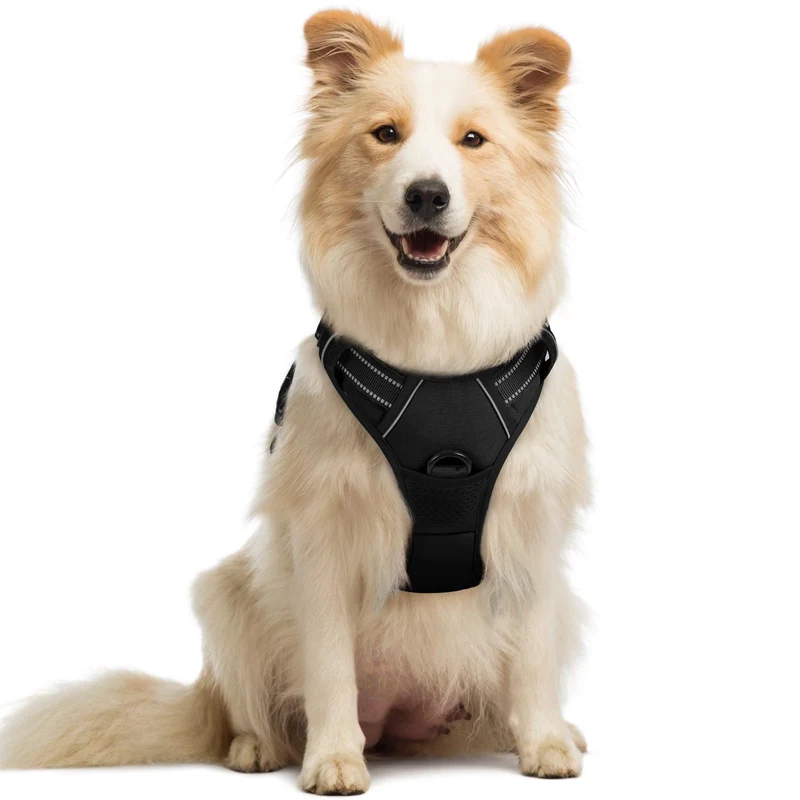 rabbitgoo harnais chien sans tirage – 2 attaches, rembourré, réfléchissant, poignée de contrôle, taille M