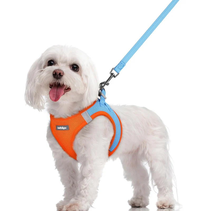 Rabbitgoo harnais pour chien taille S avec laisse – harnais étape en bleu/orange, respirant et réfléchissant