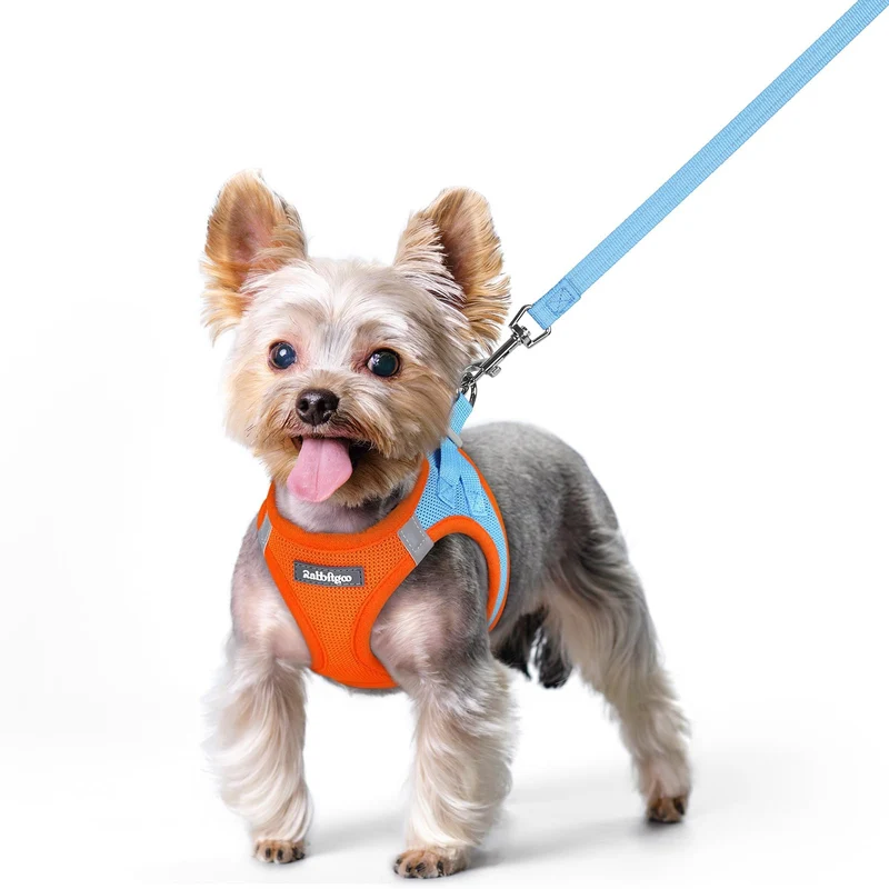 Rabbitgoo Harnais Chien XS avec Laisse – Step-in Léger, Mesh Respirant et Réfléchissant, Bleu et Orange