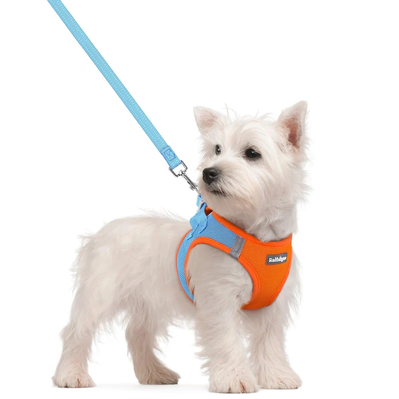 rabbitgoo Harnais Step-in Petit Chien (Taille S) + Laisse - Mesh Respirant, Réfléchissant Bleu & Orange