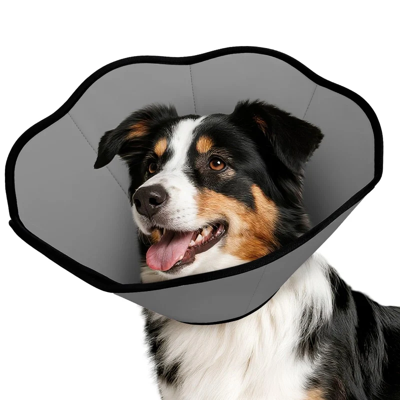 MIDOG Collier-Cône Après Chirurgie – Doux, Réglable et Protège Plaies