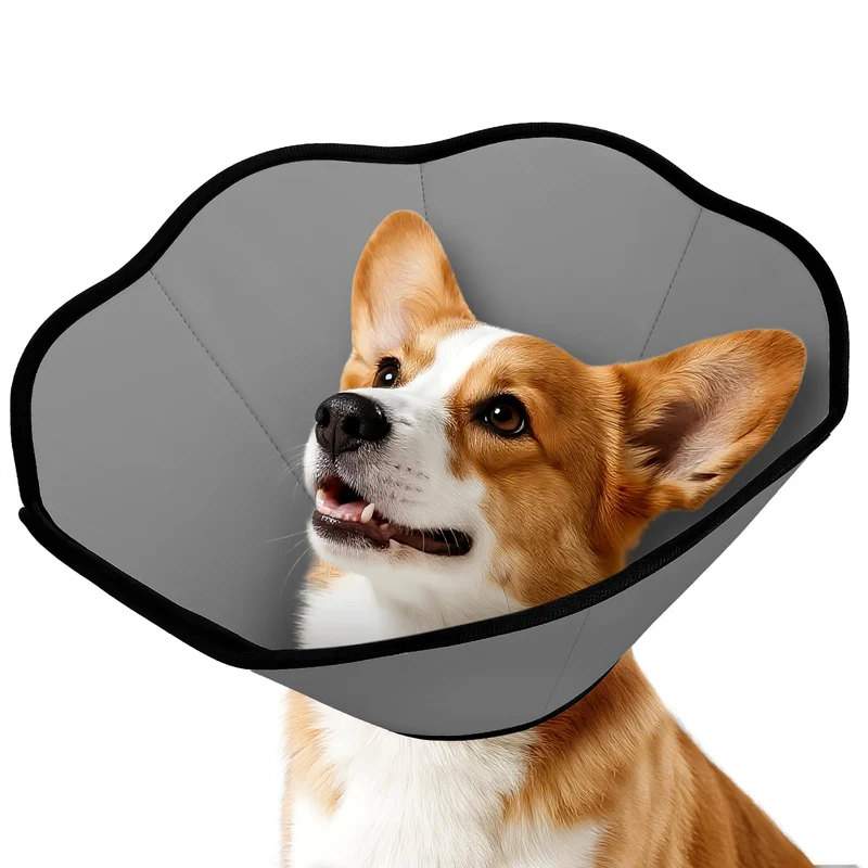 MIDOG Collier Conique Doux pour Chien – Après Chirurgie, Ajustable