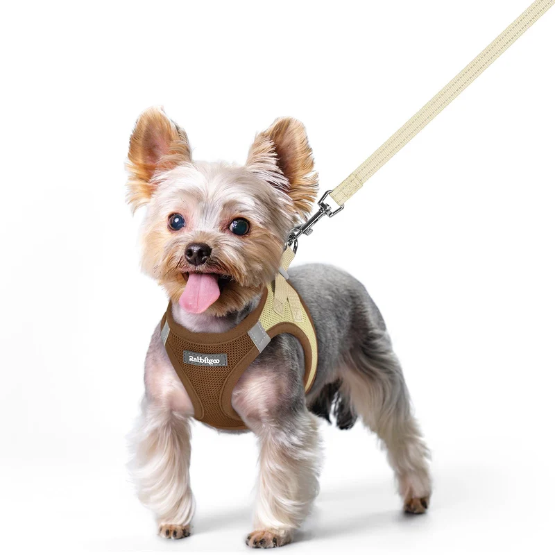 rabbitgoo Harnais pour chien XS avec Laisse – Pose d’entrée légère, Mesh respirant, Réfléchissant – Marron et Beige XS