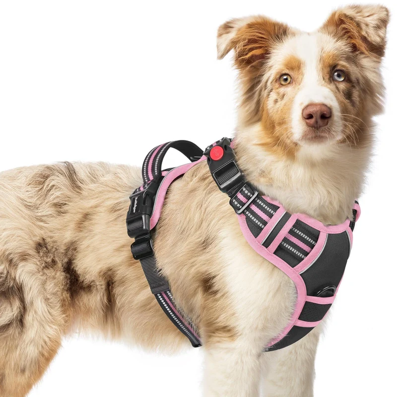 Harnais Rabbitgoo pour chien moyen – sans traction, 3 boucles, rembourré, poignée de contrôle, reflet – Noir & Rose – M