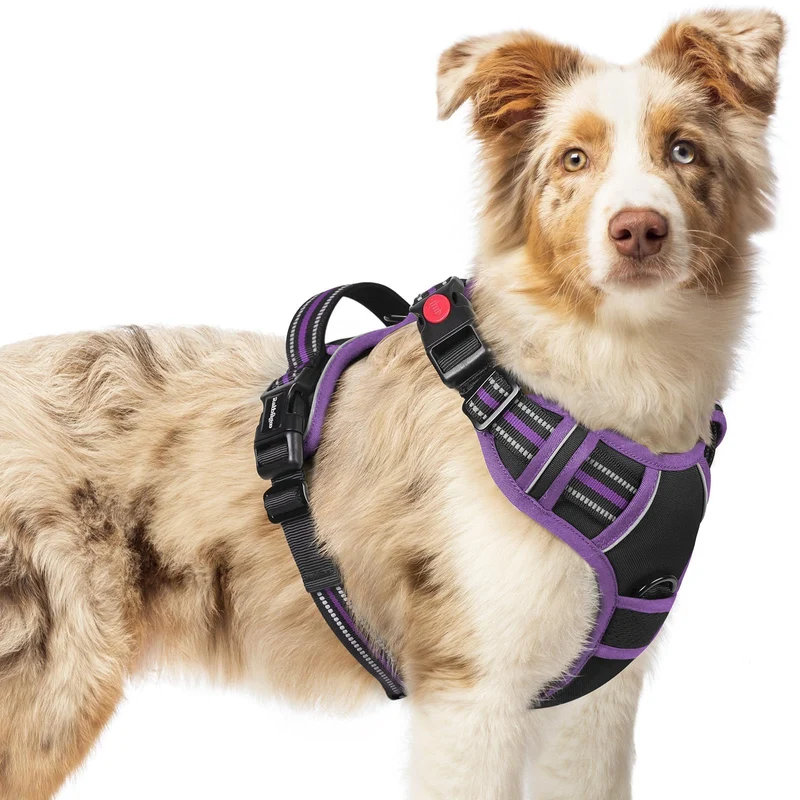 rabbitgoo Harnais Chien Moyen – Sans Traction, 3 Boucles, Doux Rembourré, Poignée Ergonomique, Réfléchissant