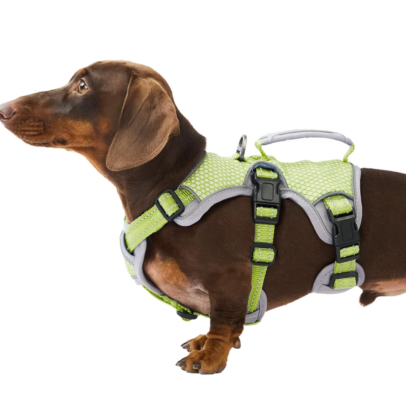Huntboo Harnais anti-fuite pour chien – Réfléchi, Durable et avec poignée (Vert, Taille S)