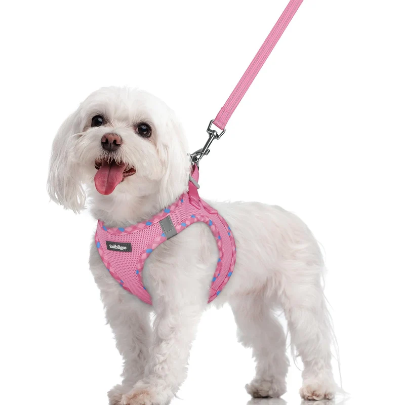 rabbitgoo Harnais pour chien taille M – Enfiler, Respirant, Léger, Longe Réfléchissante, Rose et Plaid