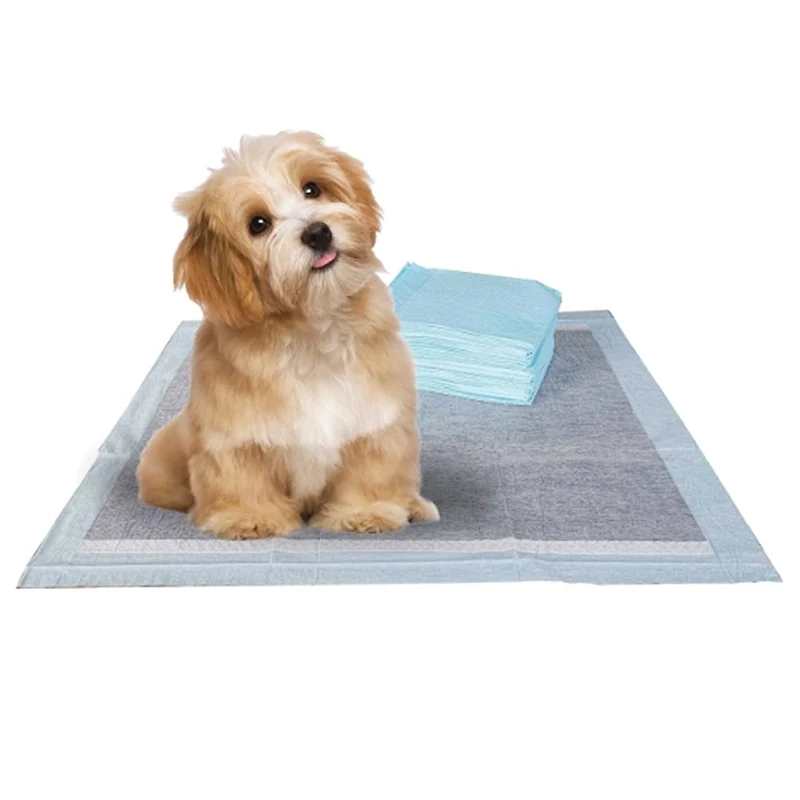 BV Charcoal Coussinets pour Chiots – Lot de 100, 22 × 22 pouces, Anti-fuite, 6 couches charbon et attractant