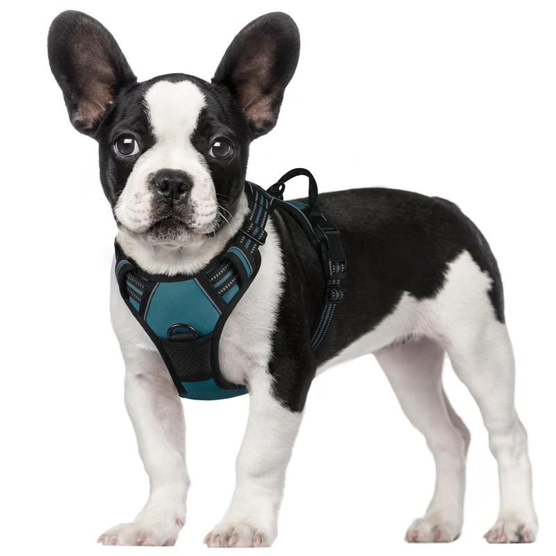 Rabbitgoo Harnais Chien Sans Tirage – 2 Attaches, Réglable, Doux et Réfléchissant, Poignée de Contrôle, Bleu Corail, Taille S