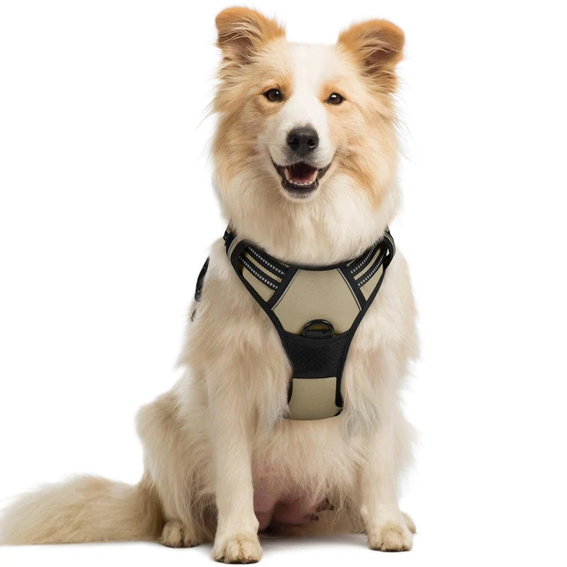 rabbitgoo Harnais Chien Sans Tir — 2 Attaches, Rembourrage Doux, Réfléchissant, Beige, Taille M