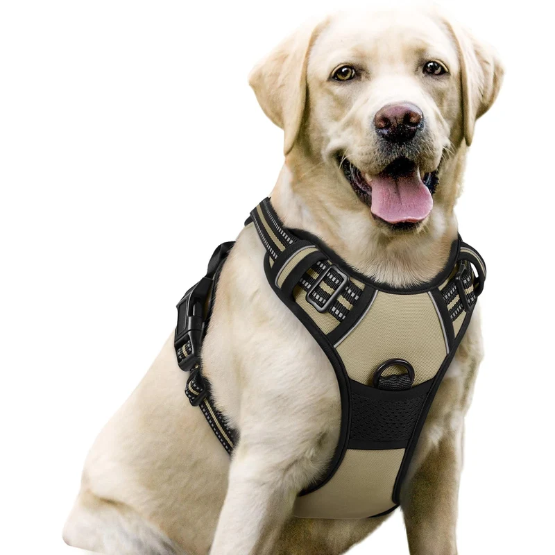 Rabbitgoo Harnais pour Chien Anti-Traction — Sans Étranglement, 2 Attaches, Beige, Taille L