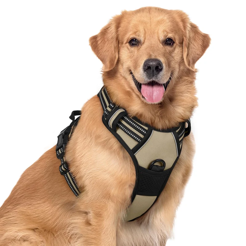 Rabbitgoo Harnais Chien Sans Traction – 2 Attaches, Doublure Douce, Réglable, Réfléchissant – Beige XL