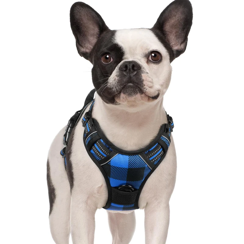 rabbitgoo Harnais pour chien – sans tirage, rembourré et réfléchissant, avec poignée et double attache – taille S, bleu à carreaux