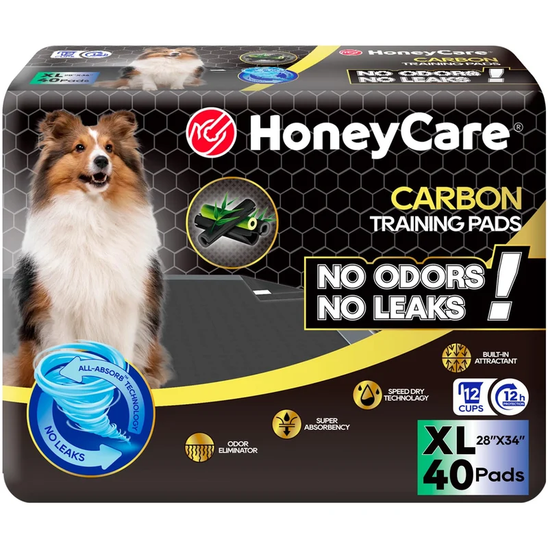 HONEY CARE All-Absorb Tapis d’Apprentissage Chiot XL 28x34 po, 40 pièces