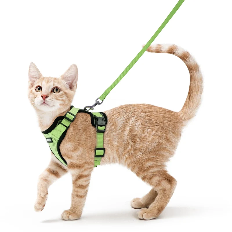 Rabbitgoo Harnais et Longe pour Chat – Confort Aéré, Anti-Évasion, Boucles Rapides – Vert Clair XS