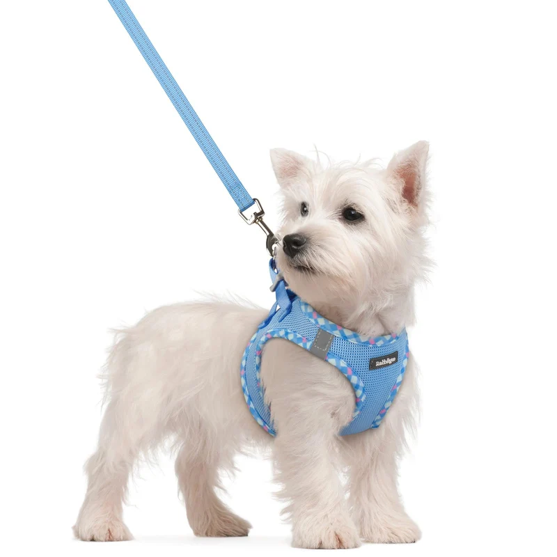 Rabbitgoo Harnais Chien Petit avec Laisse – Step-in Léger, Respirant et Réfléchi (Bleu & Plaid, Taille S)