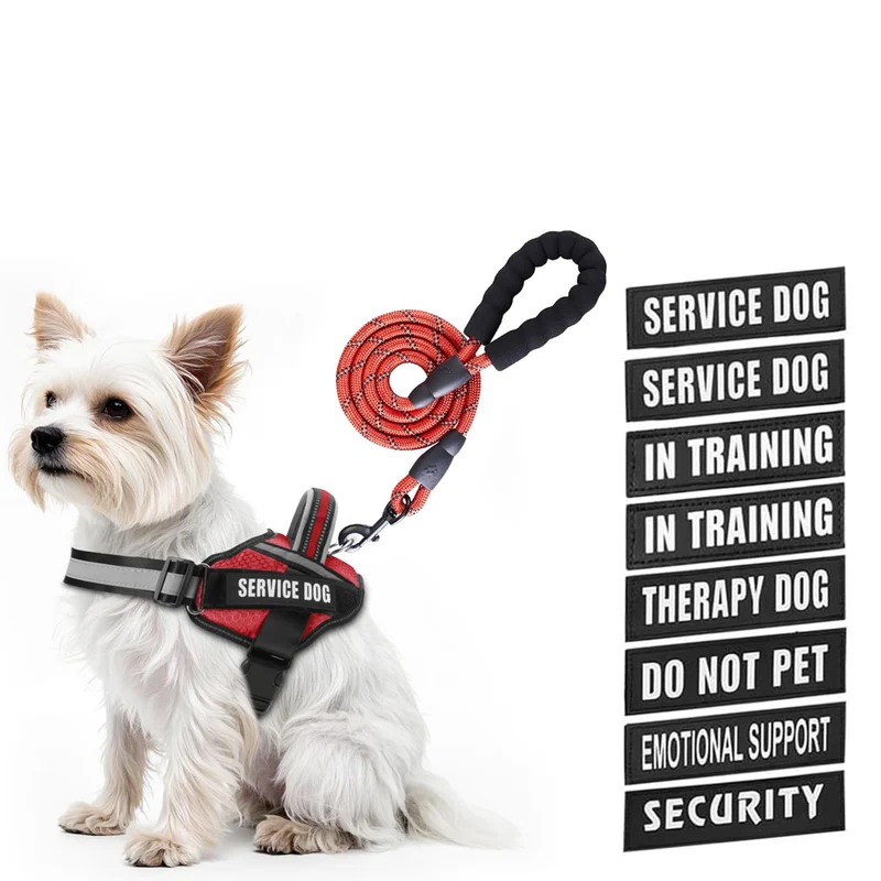 Animire Harnais de Service pour Chien en Formation avec Patches Velcro et Laisse Réfléchissante