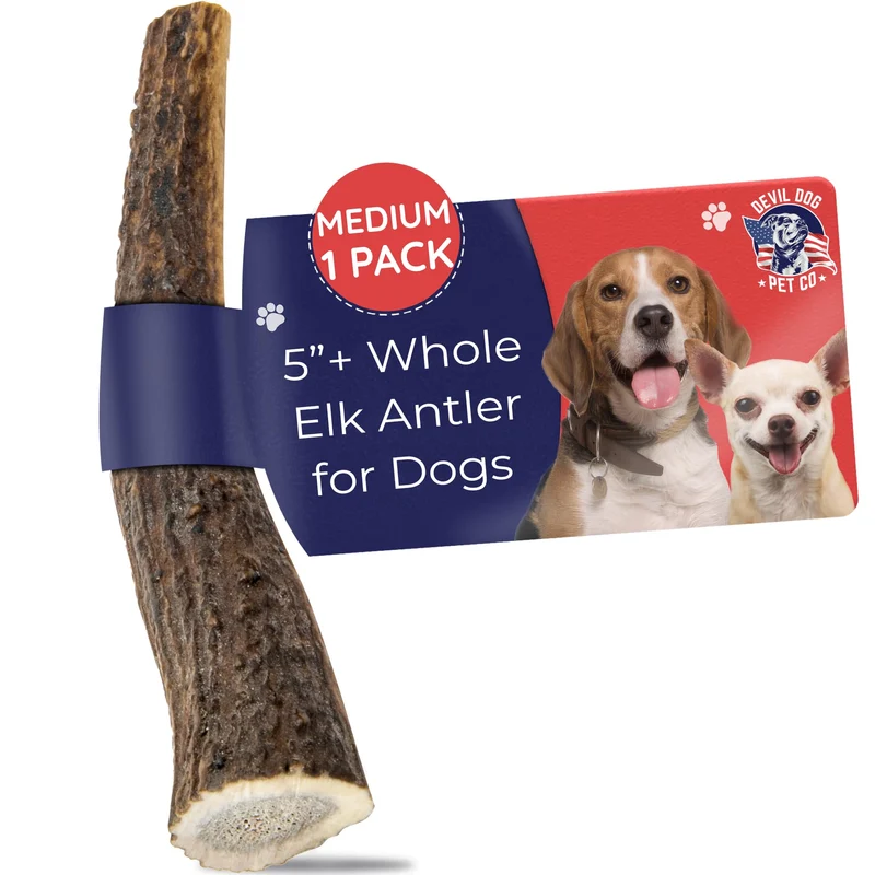 Devil Dog Pet Co - Panache de wapiti moyen pour chiens pesant 6,8 à 18 kg – Os à mâcher durable et naturel