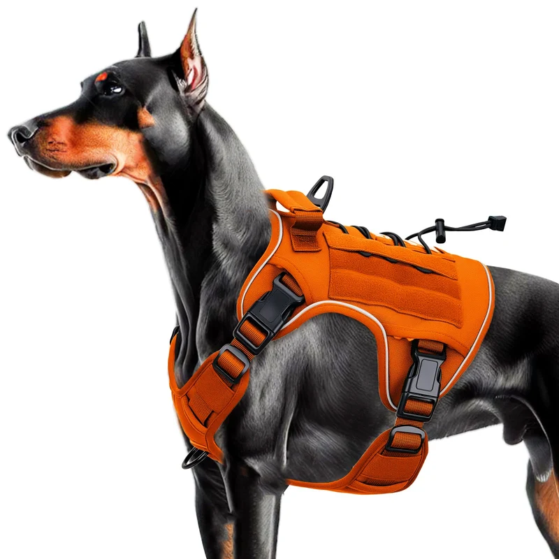 Bruvoalon Harnais Canin Tactique Haute Robustesse – Sans Tirage, MOLLE, Réfléchissant, Orange, Taille Large