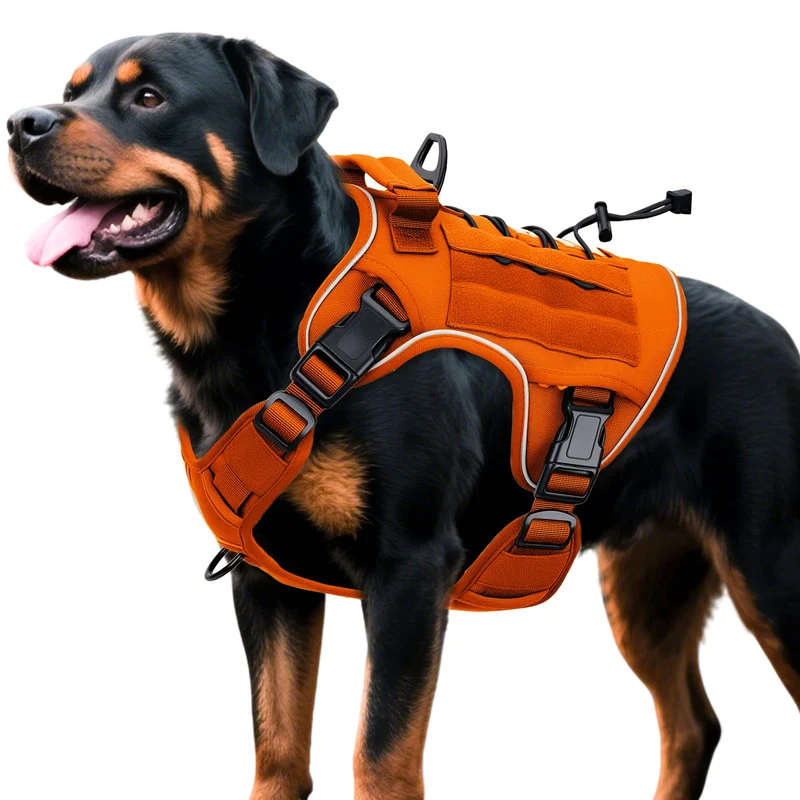 Bruvoalon Harnais Tactique pour Grands Chiens – Sans Tirage, MOLLE, Réfléchissant, Taille XL, Orange