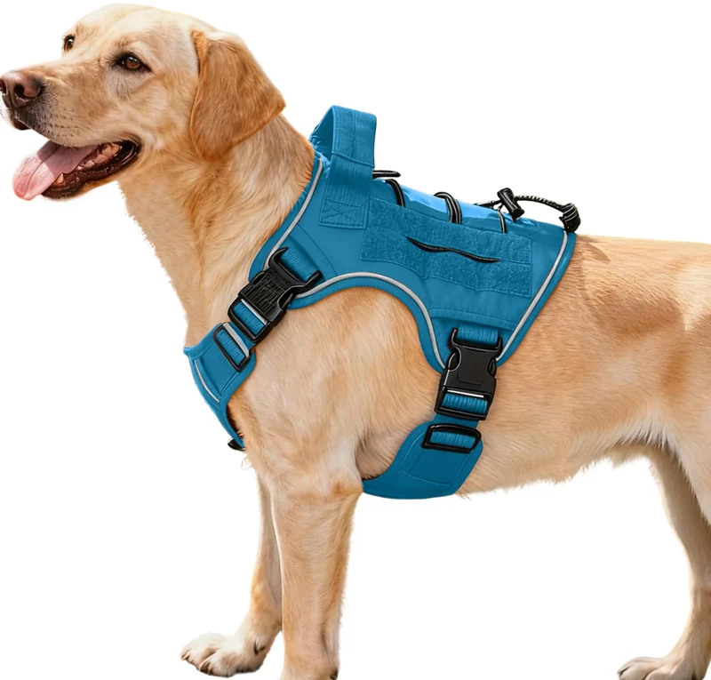 Bruvoalon Harnais Tactique pour Grand Chien – Anti-Tirage, MOLLE, Réfléchi, Poignée, Bleu – Taille M
