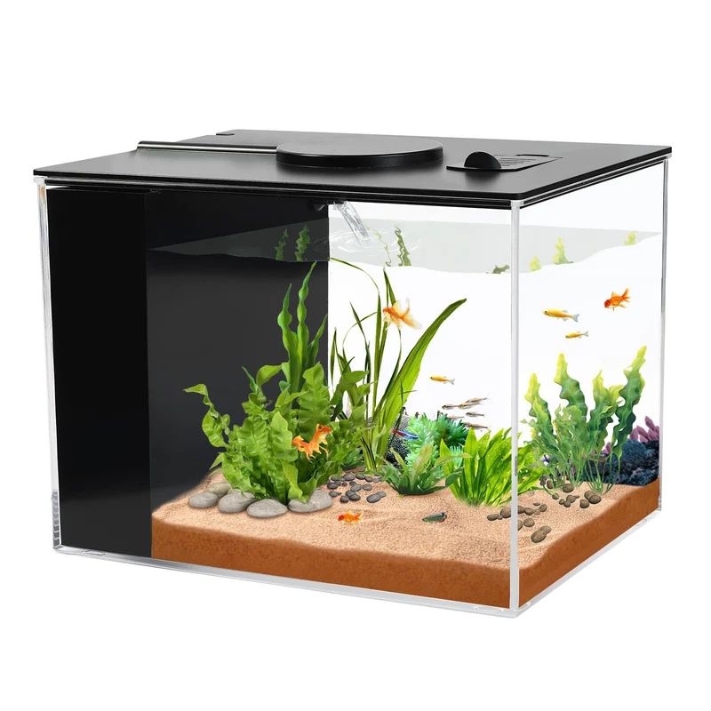 AQUANEAT Bac d'aquarium 1 gallon Betta – Kit compact LED et filtration