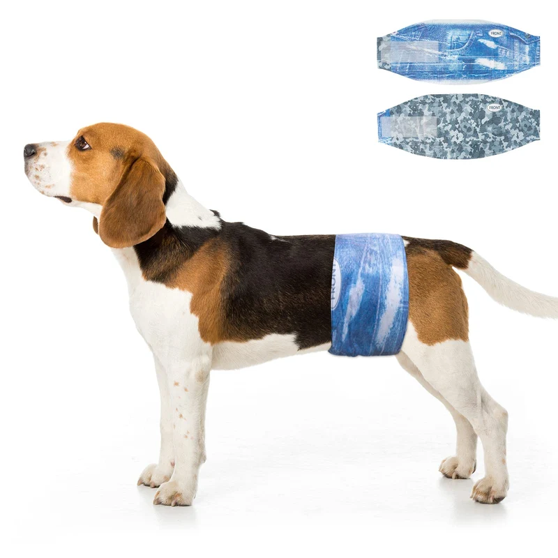 Dono — Couches jetables pour chien mâle (bandes de protection), absorption élevée et ajustement anti-fuite — 48 unités