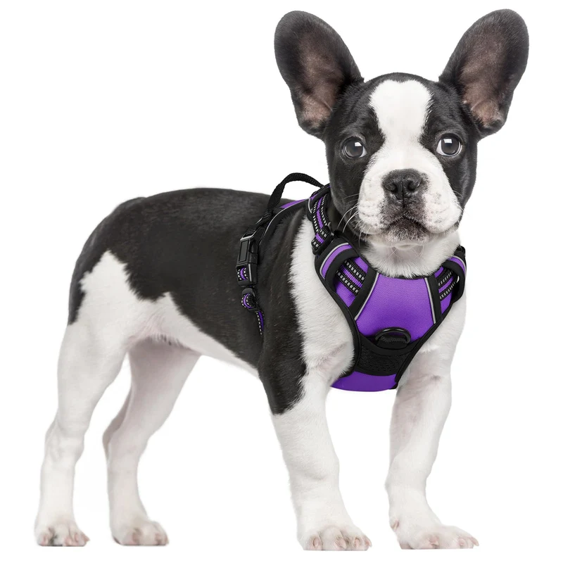 rabbitgoo harnais chien sans tir taille S - 2 attaches, rembourre, réfléchissant, violet