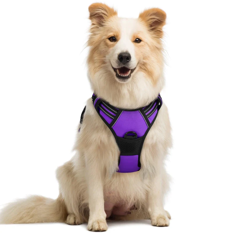 Harnais Chien Rabbitgoo Sans Tirage – 2 Attaches, Rembourrage Doux, Réfléchissant Violet, Taille M