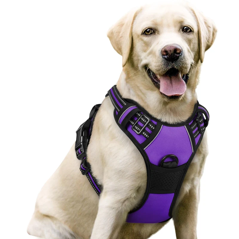 Rabbitgoo Harnais Chien Anti-Pull Réglable - 2 Attaches, Poignée, Réfléchissant, Violet, Taille L
