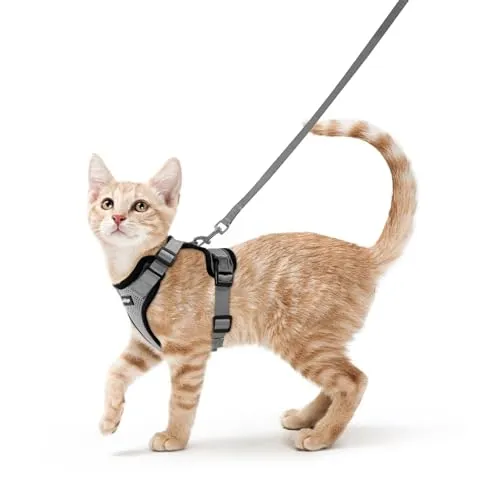 rabbitgoo Harnais et Laisse pour Chat — Confort Air-Mesh, Sécurité Anti-Echappement, Bandes Réfléchissantes, Gris, Taille S