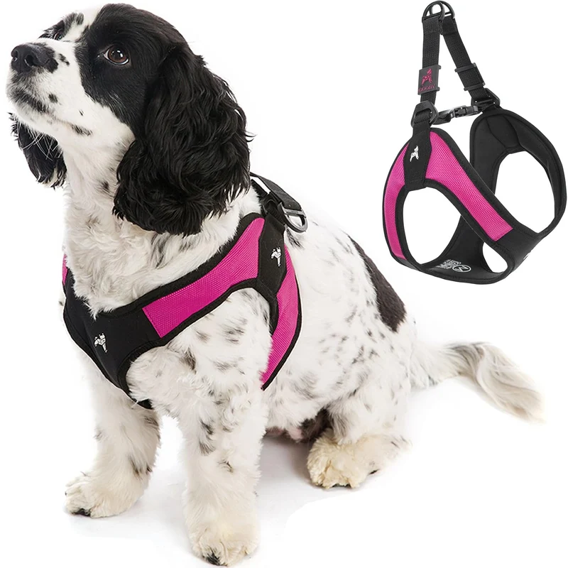 Gooby Escape Free Easy Fit Harnais – Rose Fuchsia, Taille Large – Pas de Traction, Clip Rapide