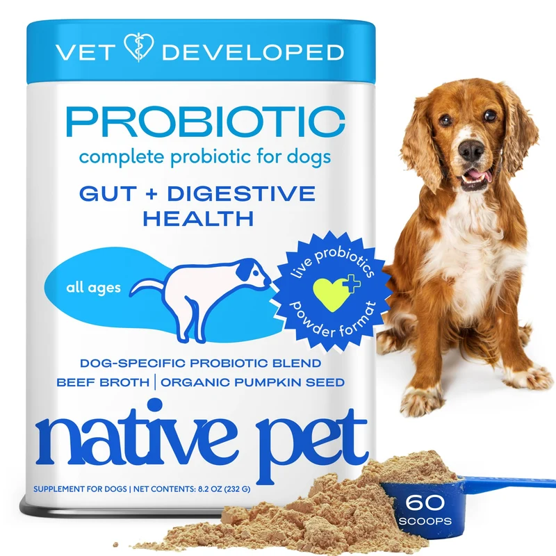 Native Pet Probiotiques pour Chiens – Poudre Probiotique 6 Milliards CFU, Formulée par des Vétérinaires, 60 Mesures