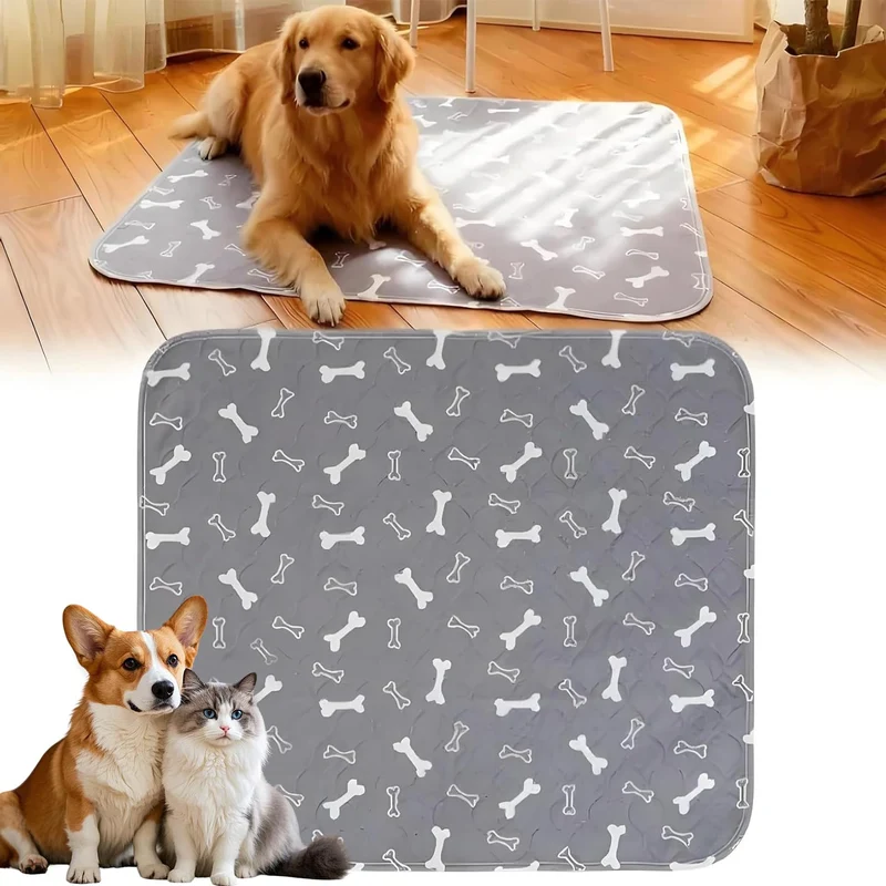 Kacitalone Tapis d'entraînement avec phéromones – Anti-fuite et lavable (gris, S 46 × 30 cm)