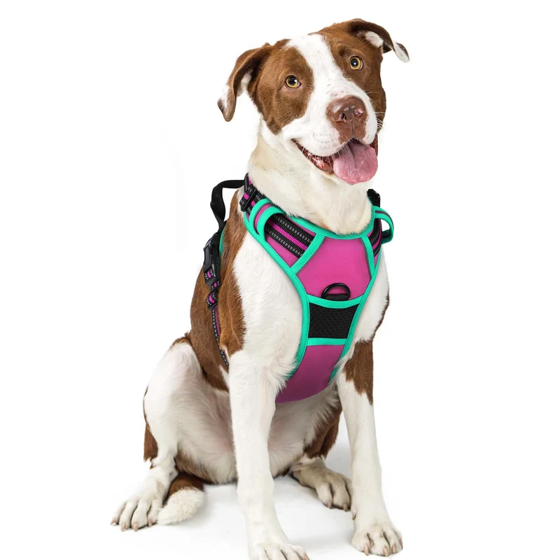 Harnais Chien Rabbitgoo Sans Tir à Deux Attaches — Confort Doux, Poignée de Contrôle et Bandes Réfléchissantes (Grand Chien, Rose Turquoise)