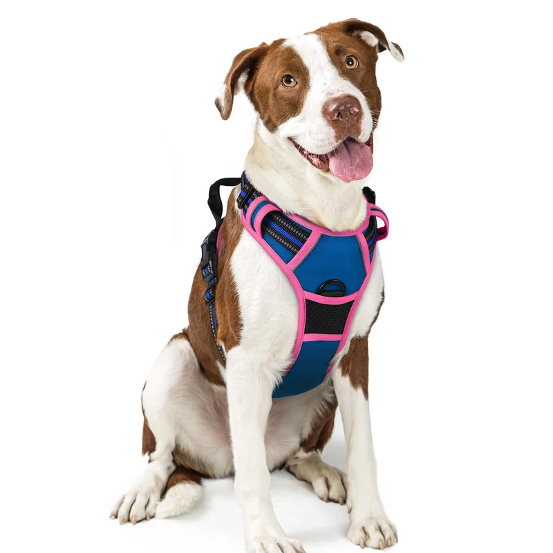 Rabbitgoo Harnais Chien Sans Tirage – 2 Attaches, Doublé et Réfléchissant – Grand Format L (Bleu & Rose Fluo)